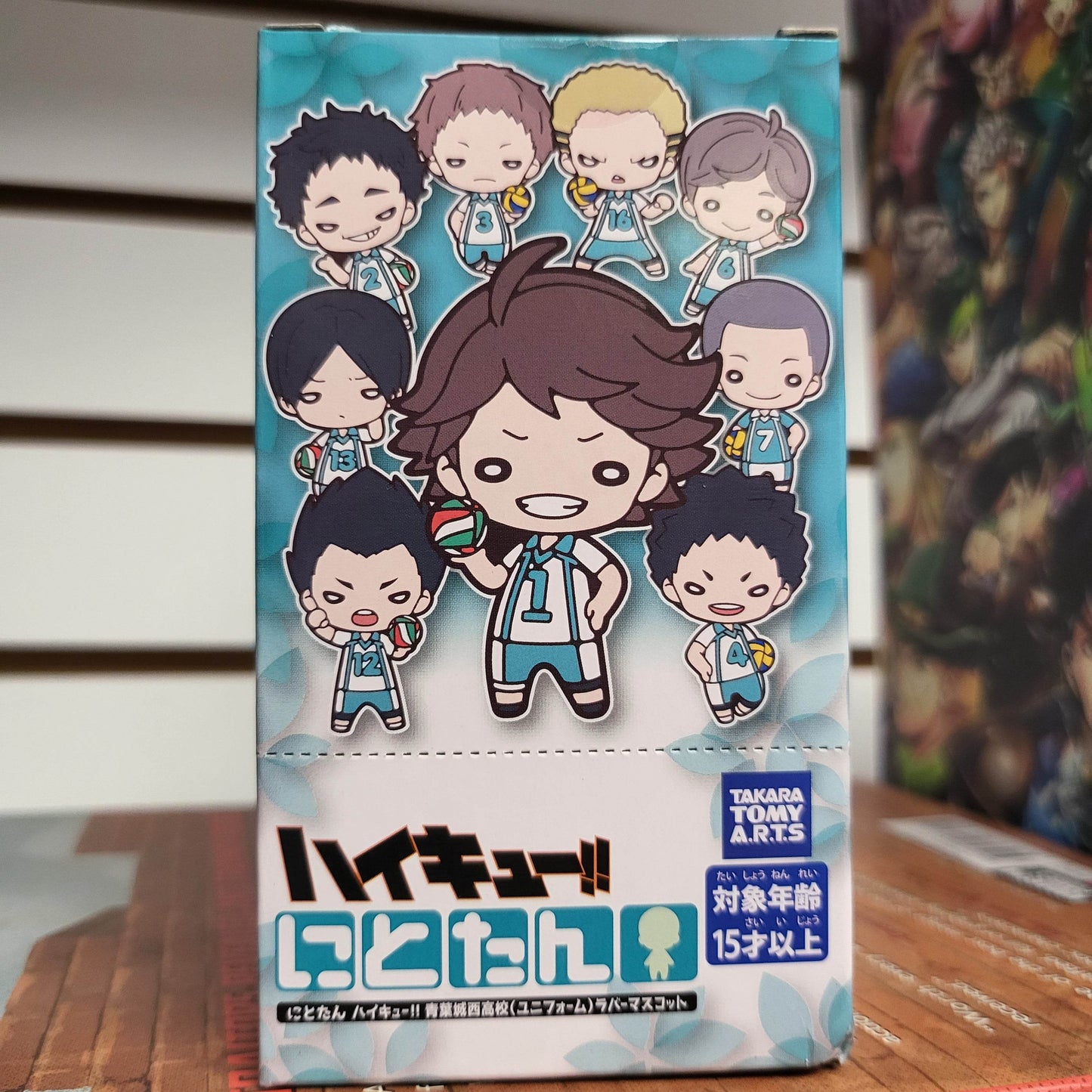 Haikyuu Rubber Keychain Blind Box -