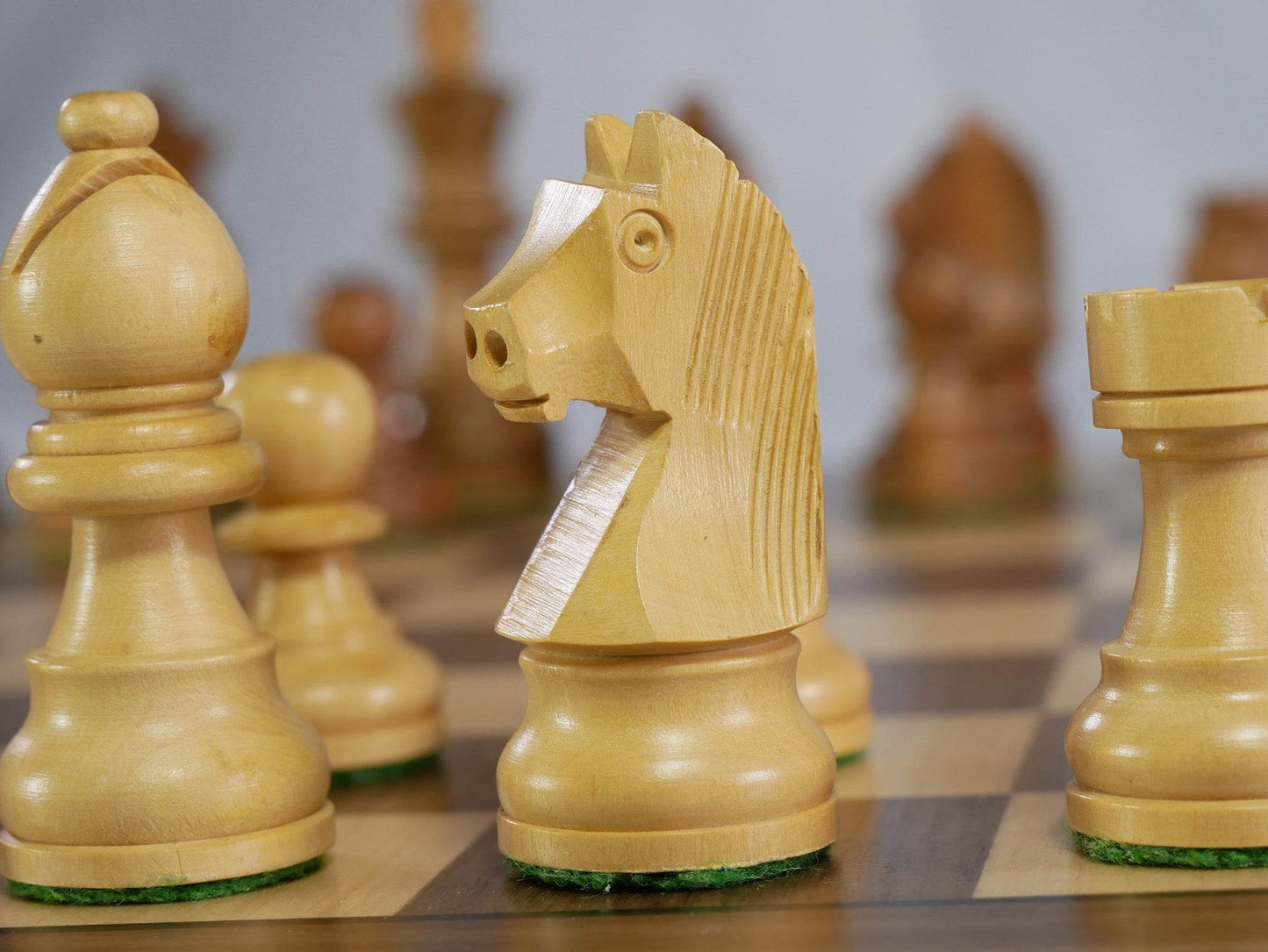 Chess Set - Sheesham/Boxwood German Knight on Walnut & Maple Veneer Board -