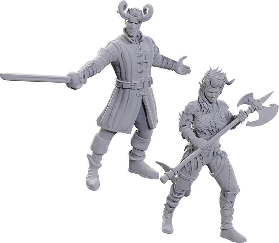 D&D: Nolzur's Marvelous Miniatures - Special Edition Baldur's Gate 3 - Wyll & Karlach -