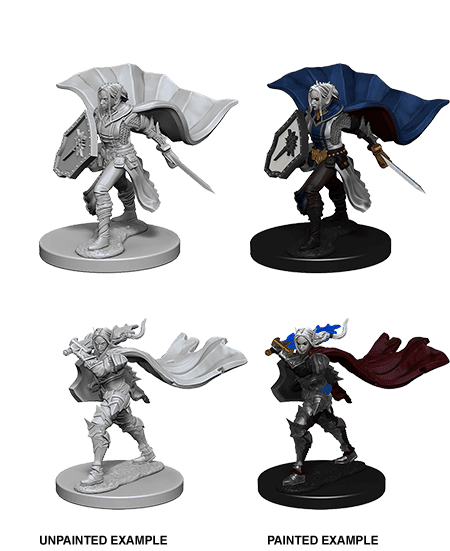 Pathfinder: Deep Cuts - Elf Female Paladin -