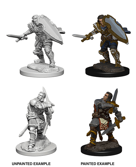D&D: Nolzur's Marvelous Miniatures - Human Male Paladin -