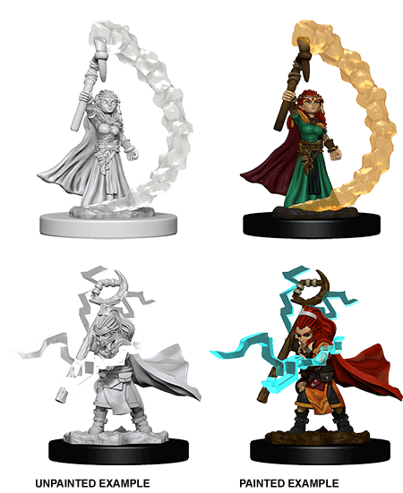 Pathfinder: Deep Cuts - Gnome Female Sorcerer -