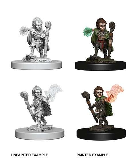 Pathfinder: Deep Cuts - Gnome Male Druid -