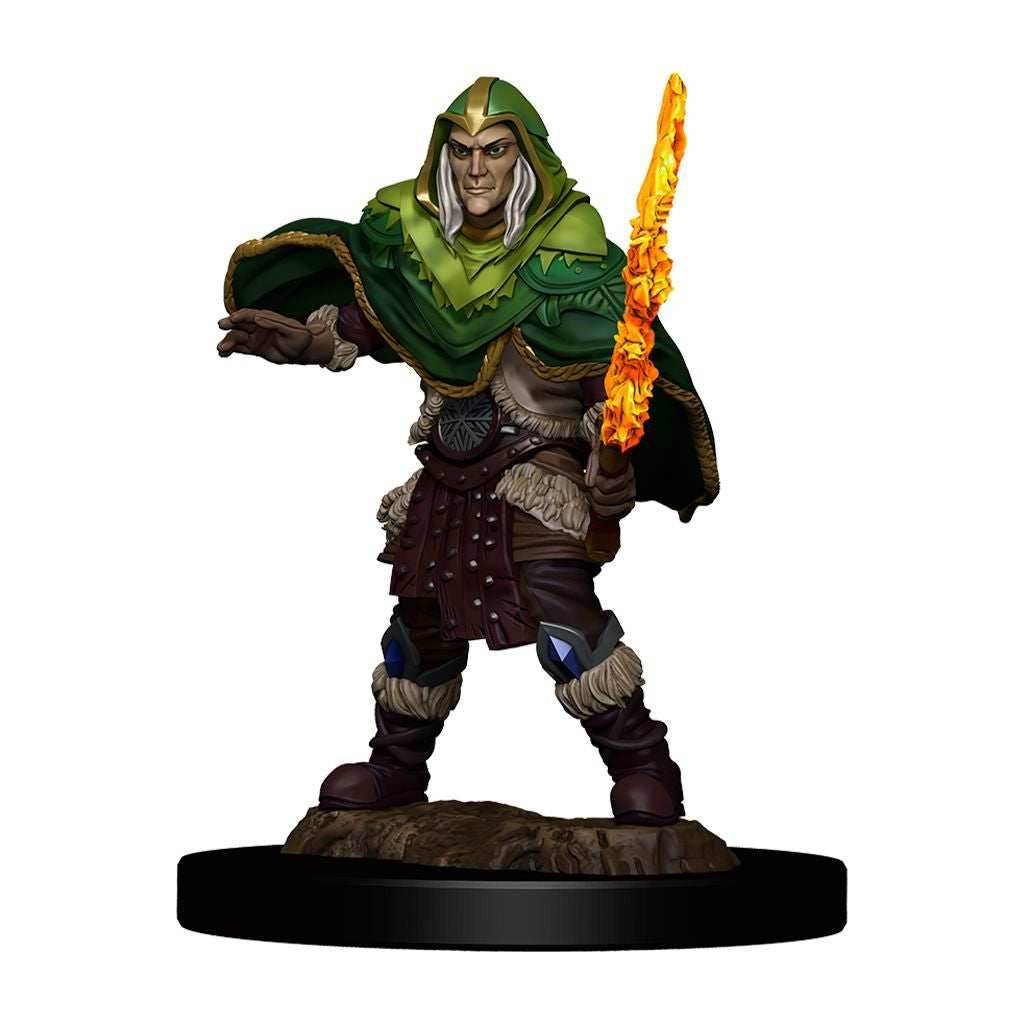 D&D: Icons of the Realms - Elf Fighter Male -