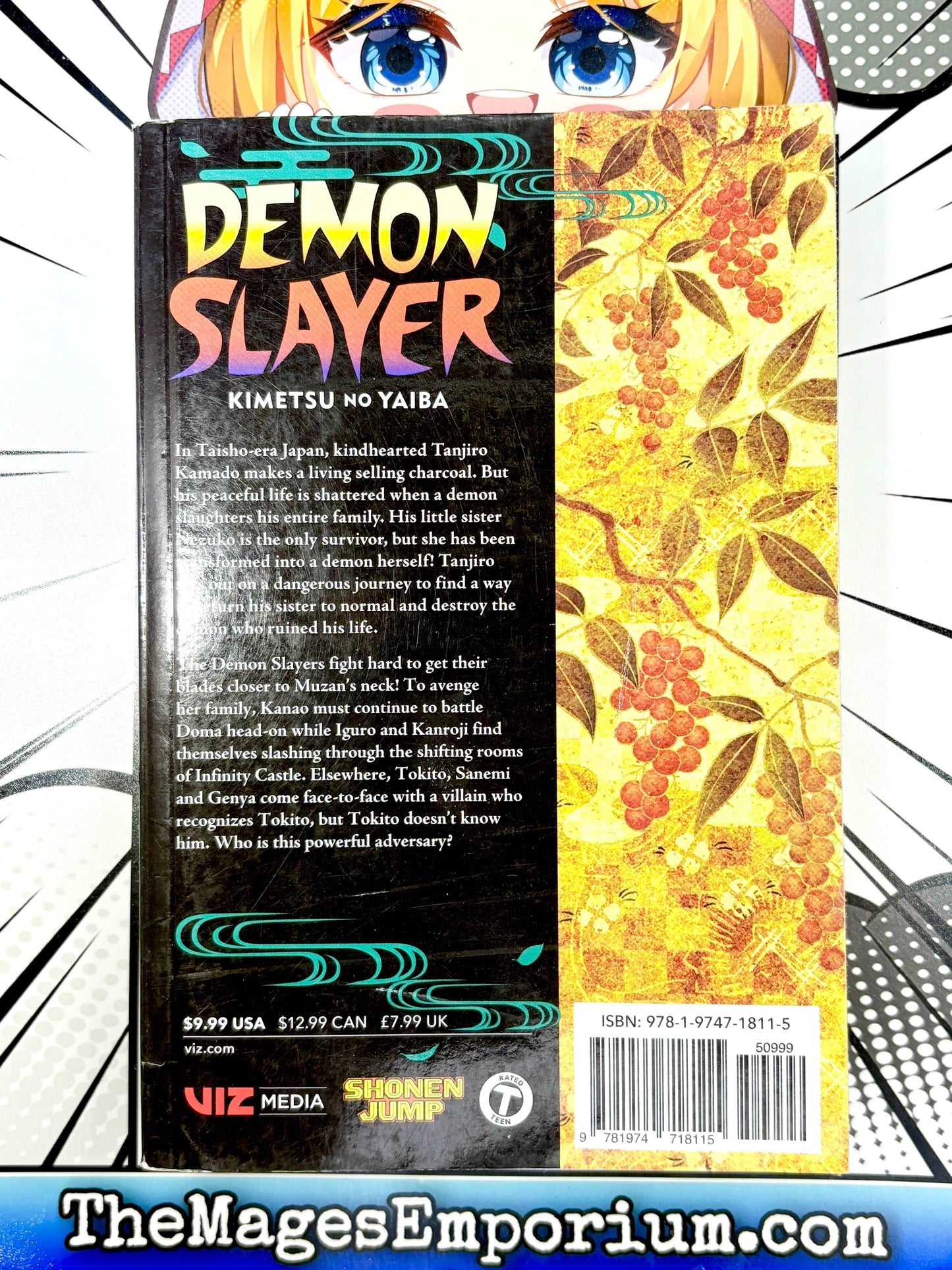 Demon Slayer Vol 19 -
