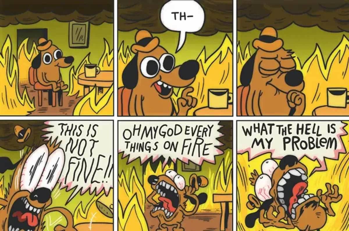 This is Fine. Also, Not Fine. Crew Socks -