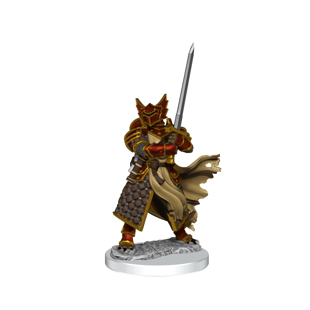 D&D: Frameworks - Dragonborn Paladin Male -