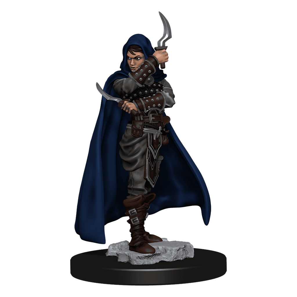 Pathfinder Battles: Human Rogue Female -