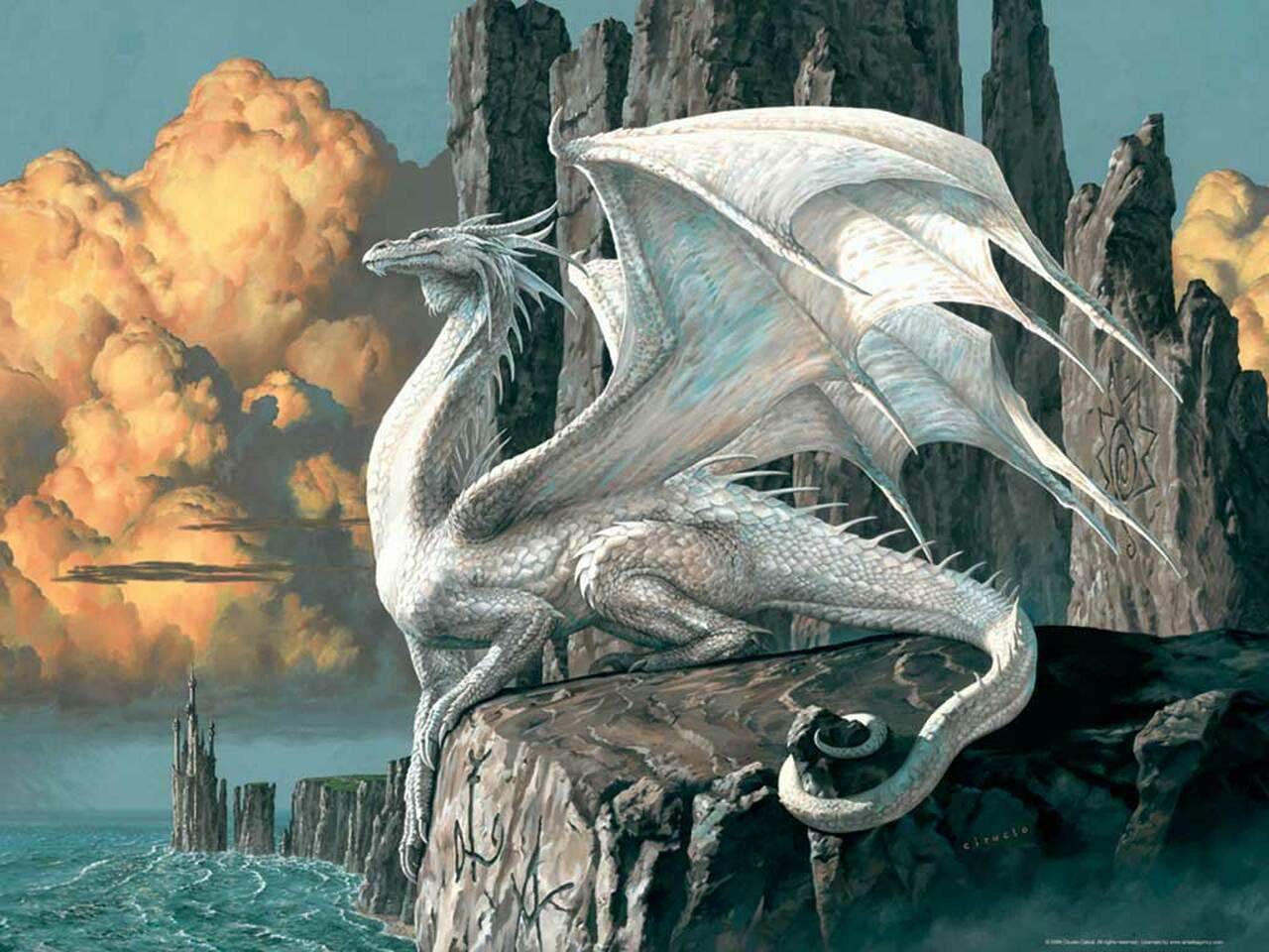 Puzzle: Dragon -