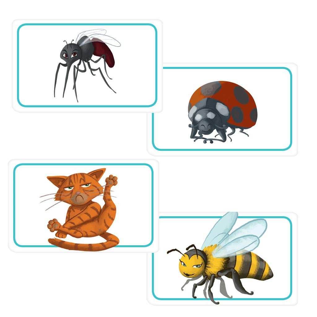 Concept Kids -