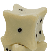 18mm Dice Bones d6 Ivory/black | Fake Bone Novelty Dice -