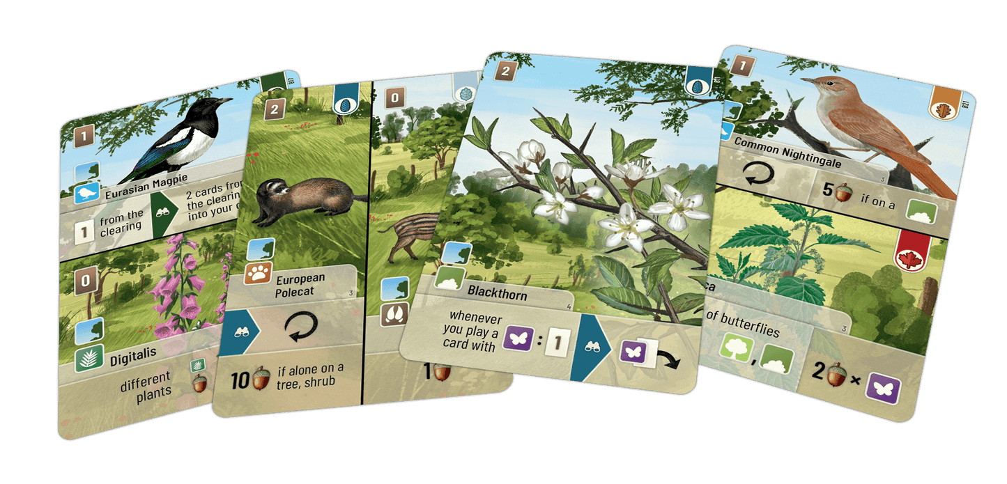 Forest Shuffle: Woodland Edge -