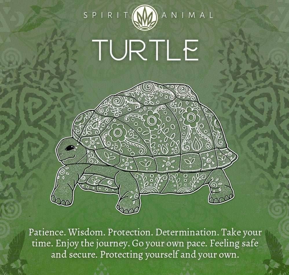 Friendly Turtle Earrings -