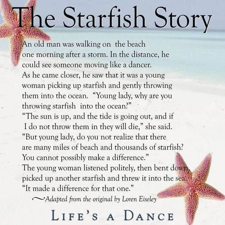 Sunny Starfish Earrings -