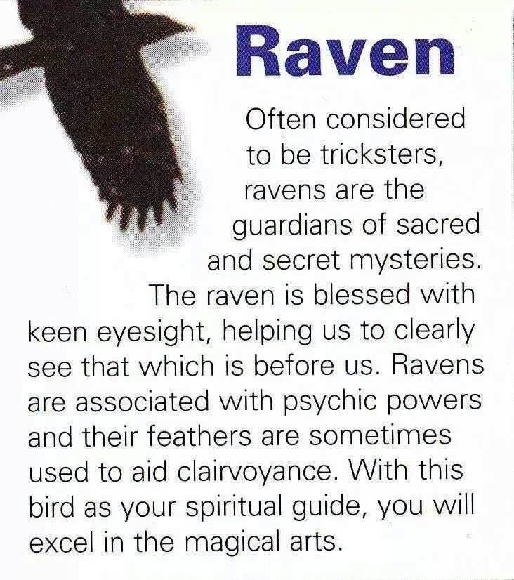 Ashild Raven Celtic Necklace - 18