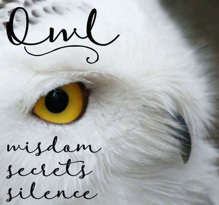 Laurelwood Owl Necklace -