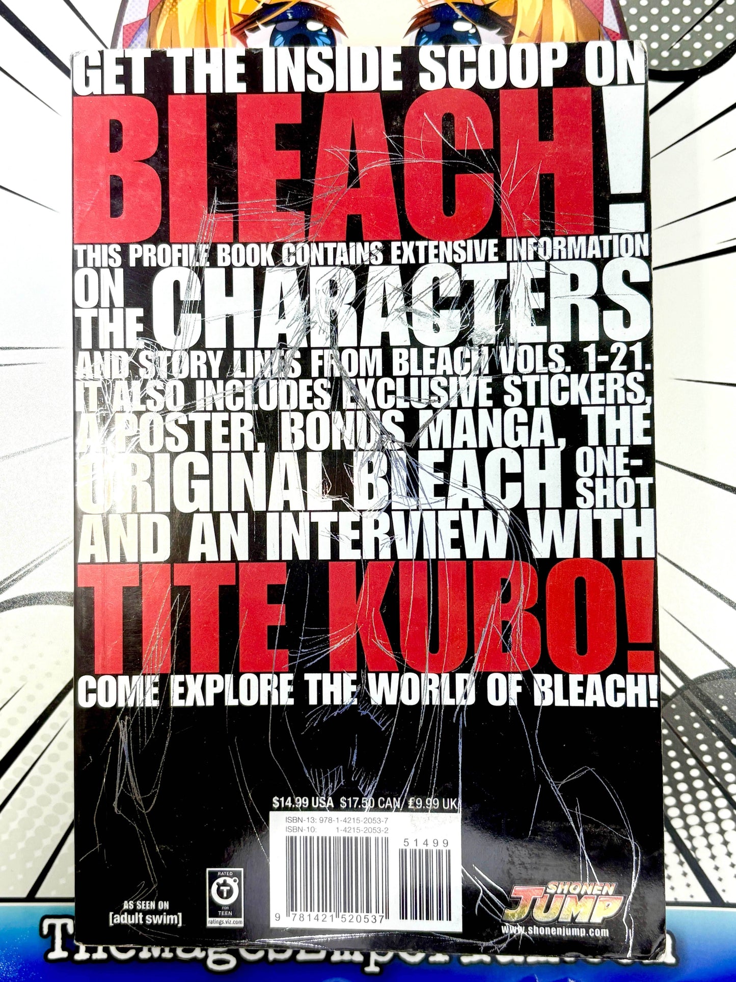 Bleach Official Character Book Souls -