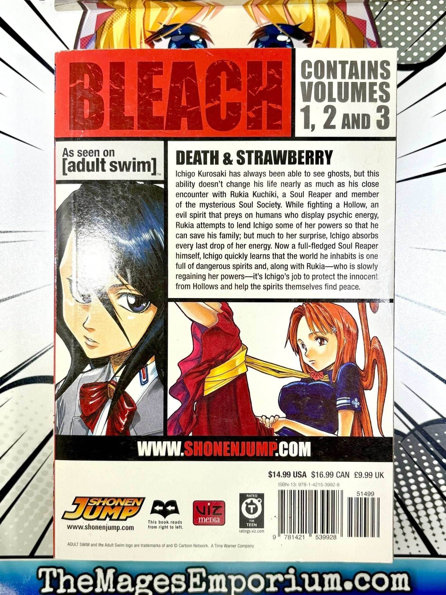 Bleach Vol 1-3 Omnibus -