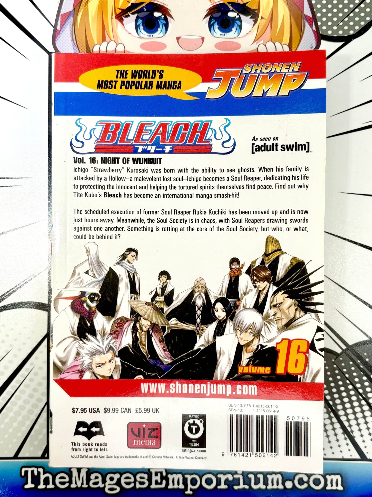Bleach Vol 16 -