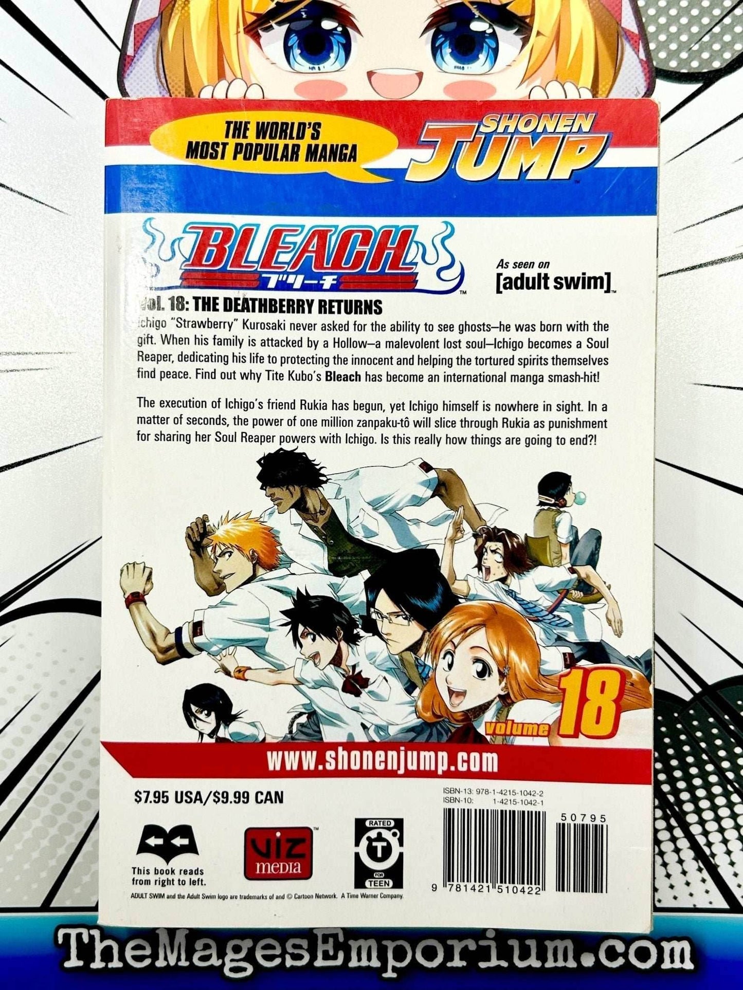 Bleach Vol 18 -