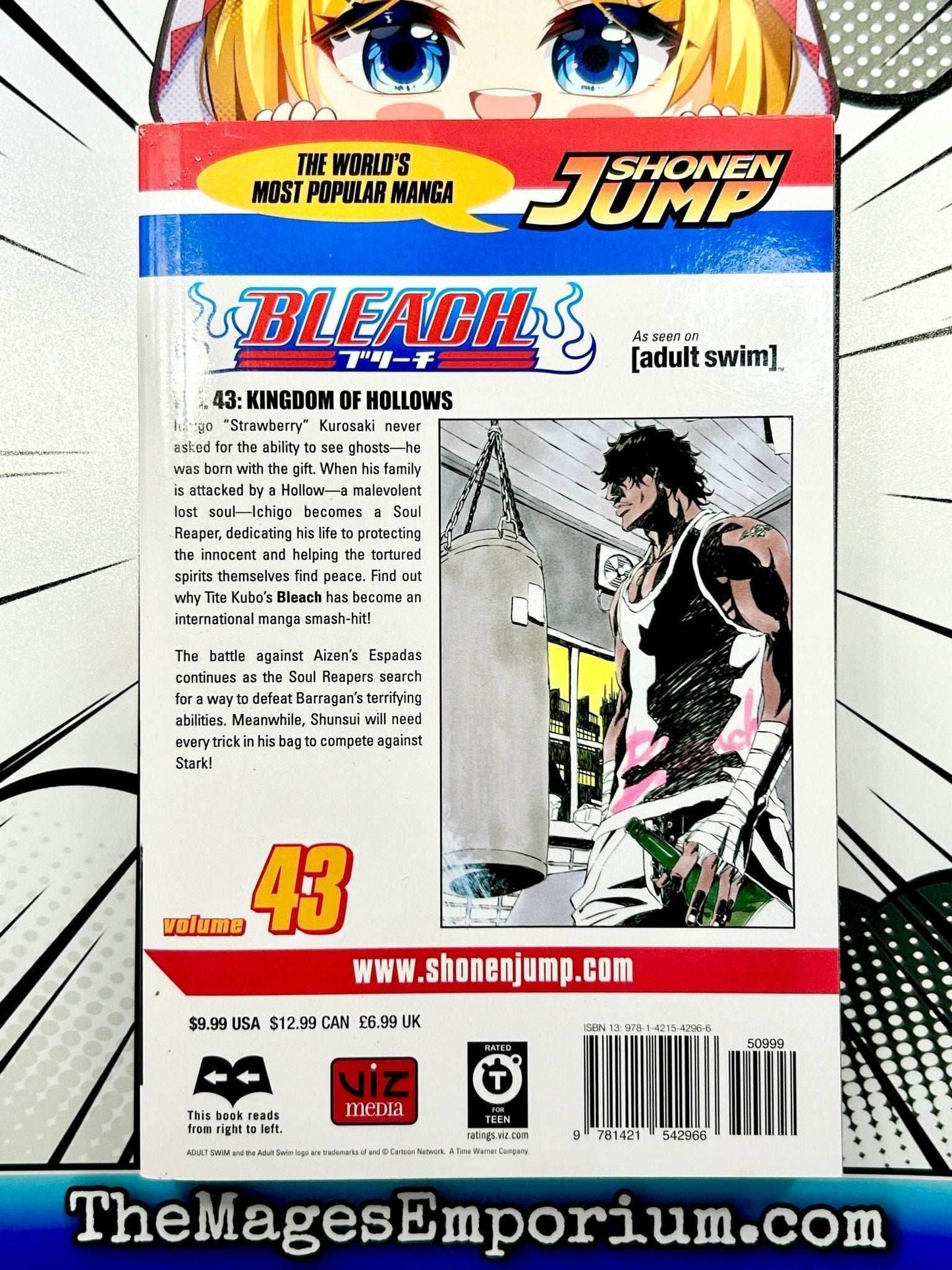 Bleach Vol 43 -