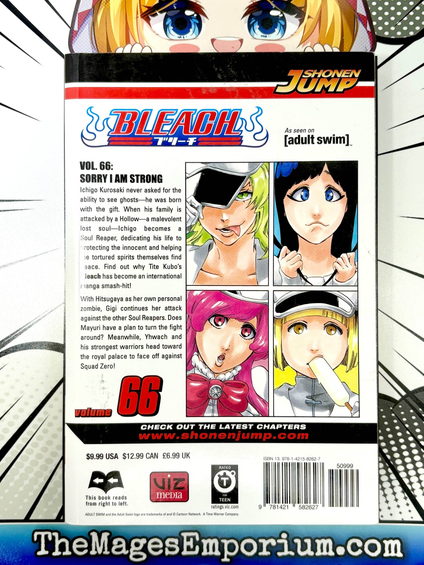 Bleach Vol 66 -