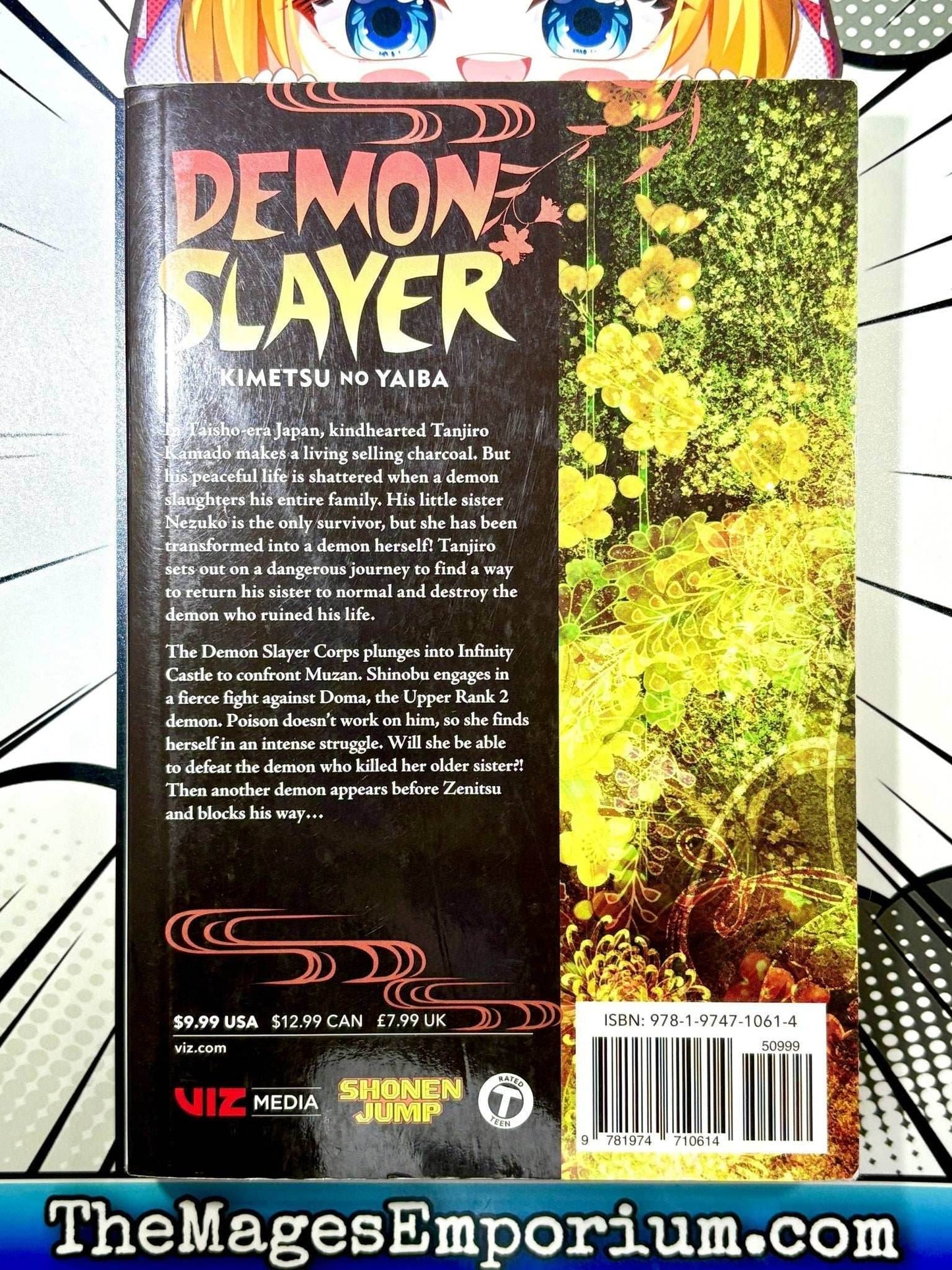 Demon Slayer Vol 17 -