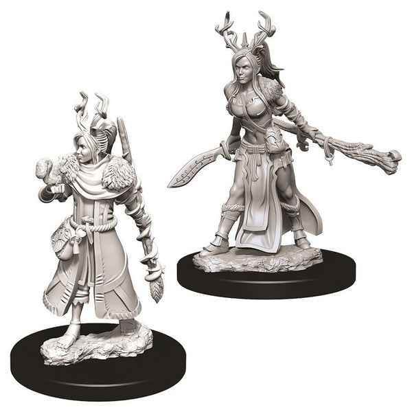 D&D: Nolzur's Marvelous Minis: Female Human Druid W9 (Unpainted) -