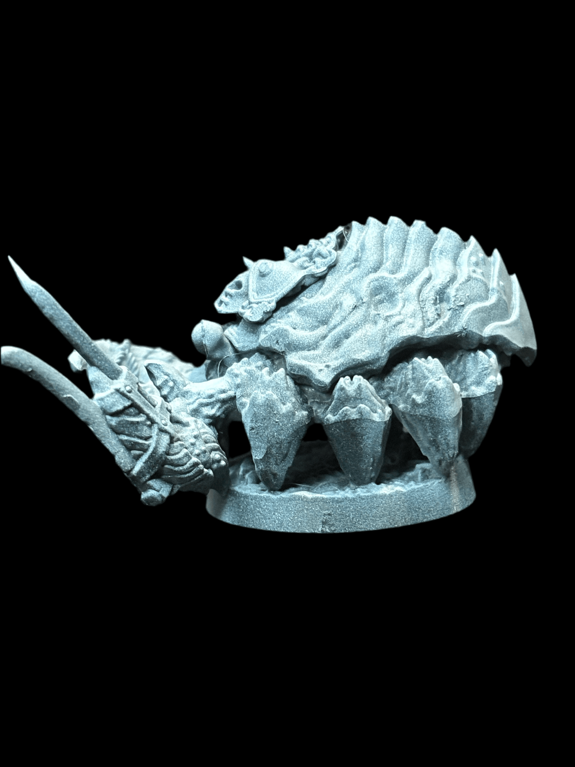 Crab - 