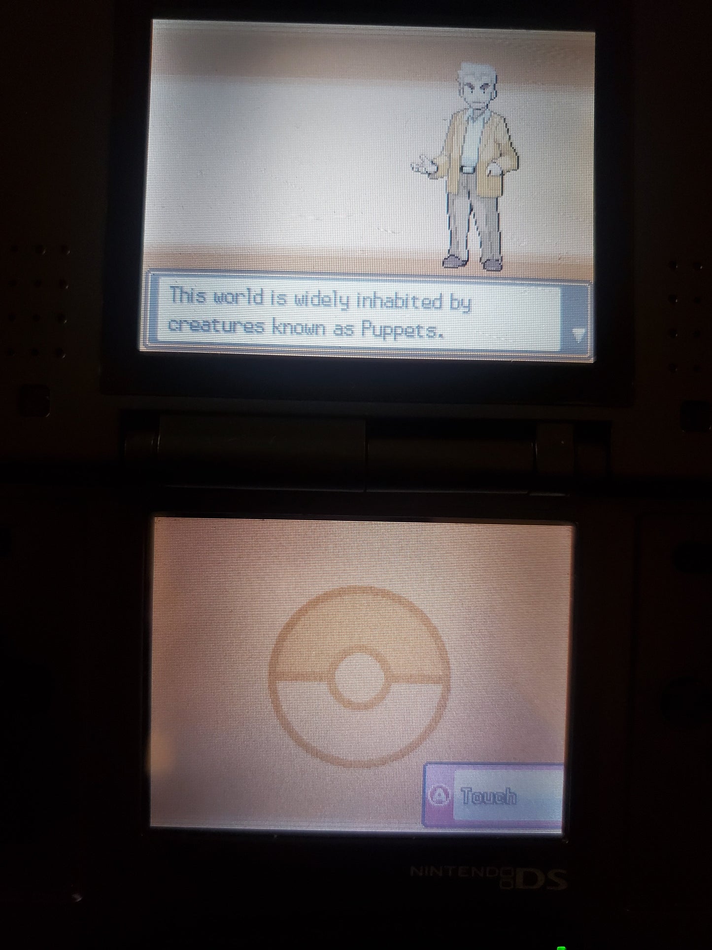 Pokemon Touhoumon HeartGold Nintendo DS Custom ROM Hack Video Game