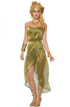Gold Roman Toga Adult Costume Dress