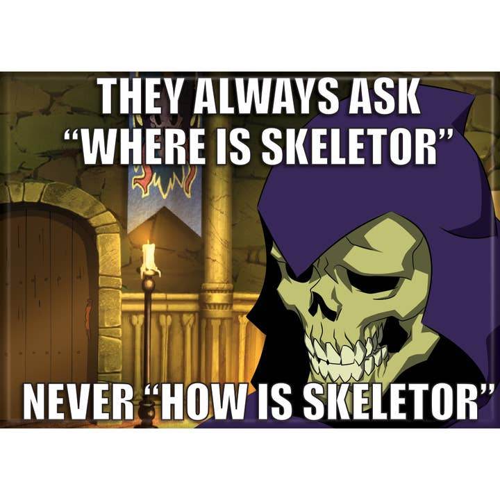 Masters of the Universe: Never How is Skeletor Magnet - 