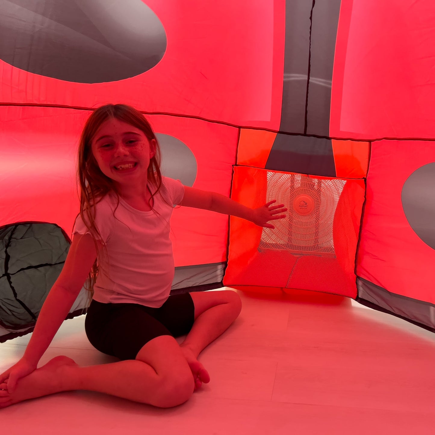 The Original AirFort - Ladybug