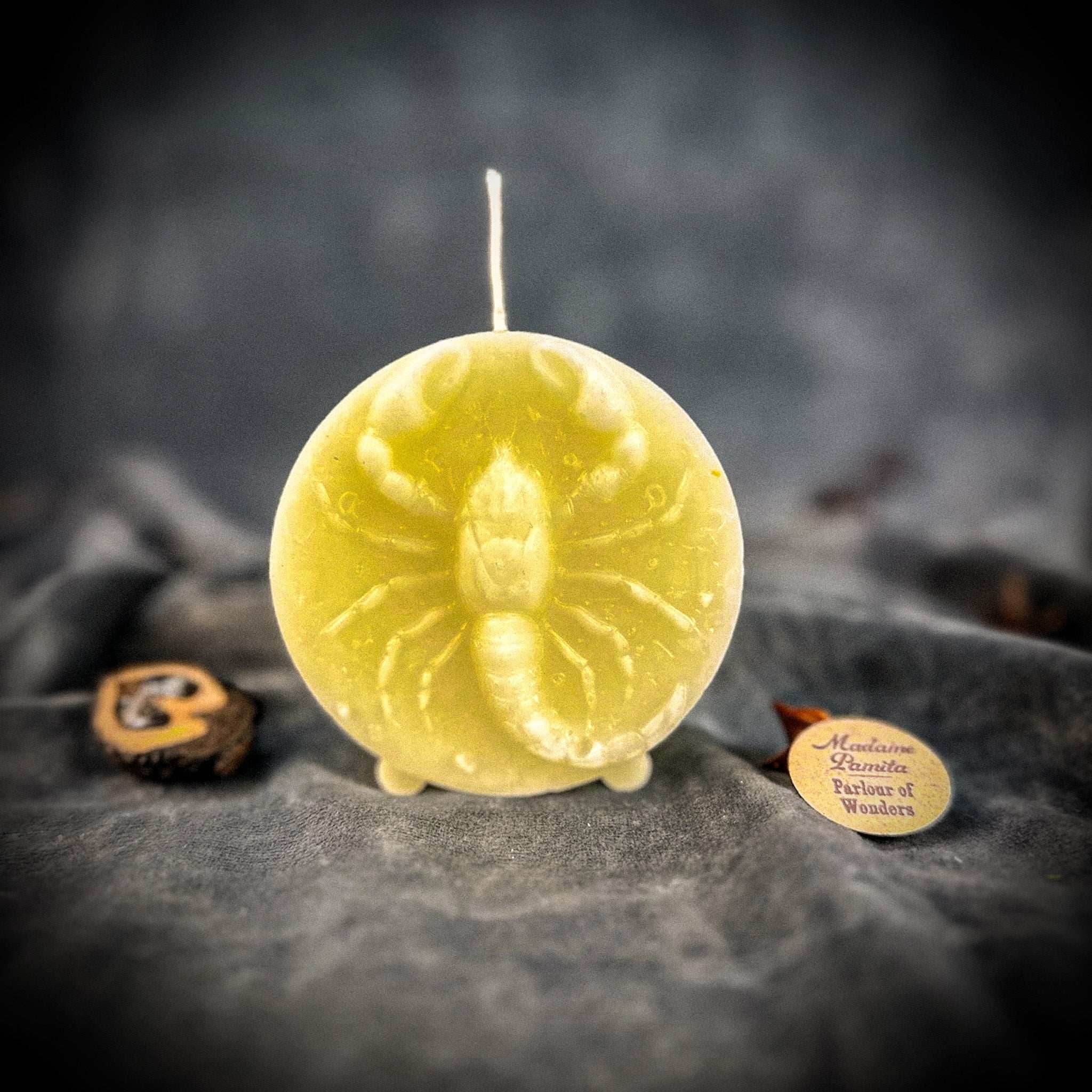 Beeswax Scorpio Scorpion Zodiac Spell Candle - White (Blessing)