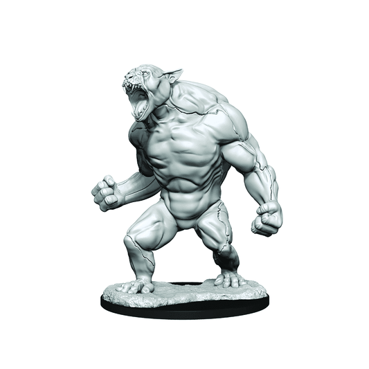 Critical Role: Aeorian Reverser - 