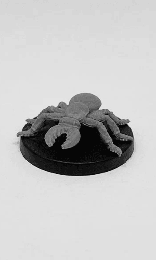 Cave Beetle - 