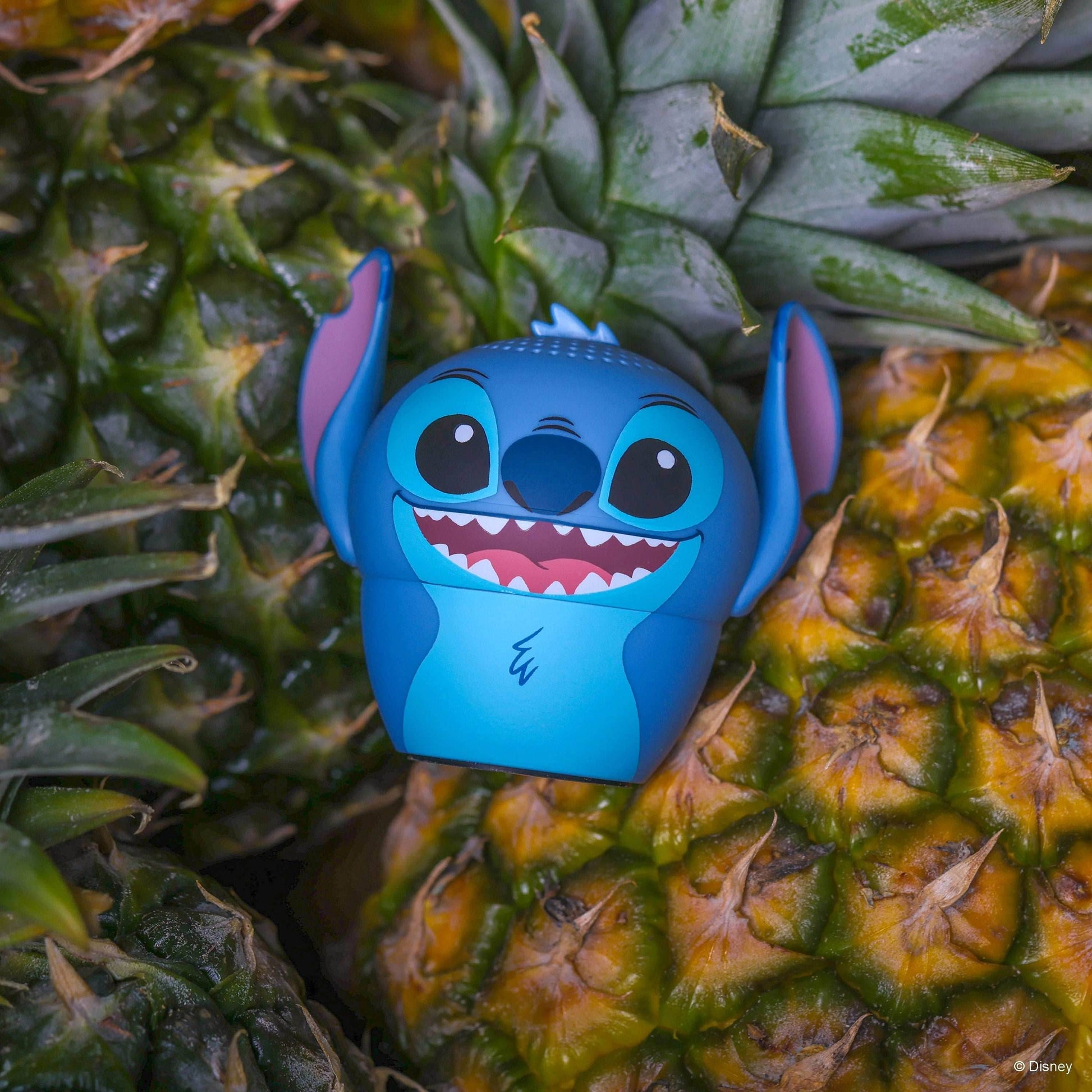 Stitch - 