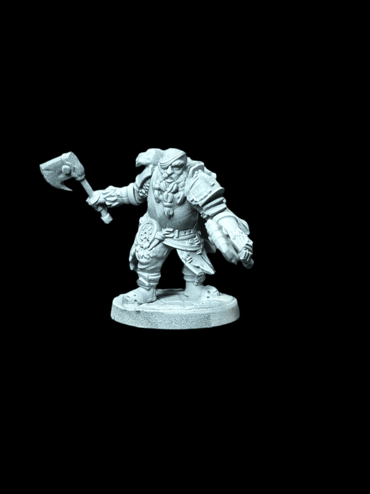 Dwarf Fighter - 