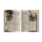 Hearts of Ravensdale - Setting Book - Legend in the Mist