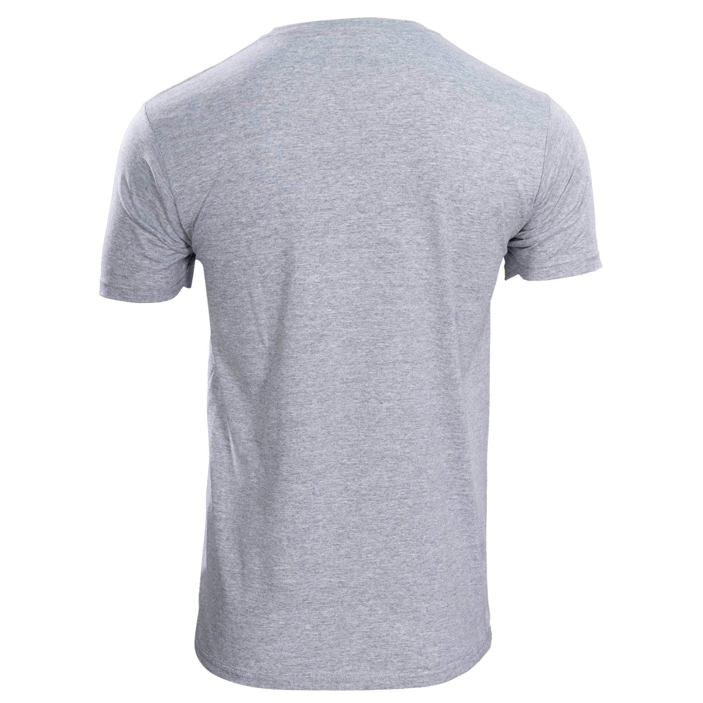 NASA Logo Men's Officially Licensed Short Sleeve Gray T-Shirt - S