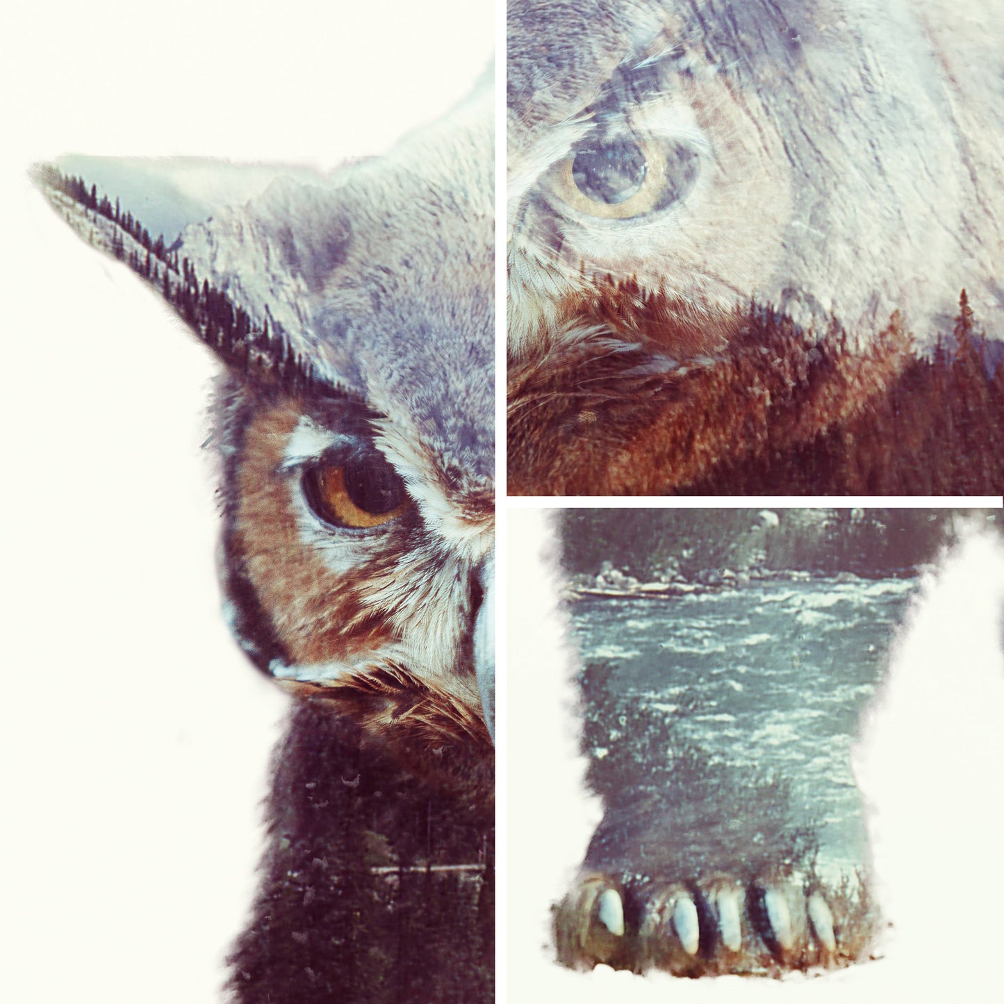 Owlbear D&D Art Print