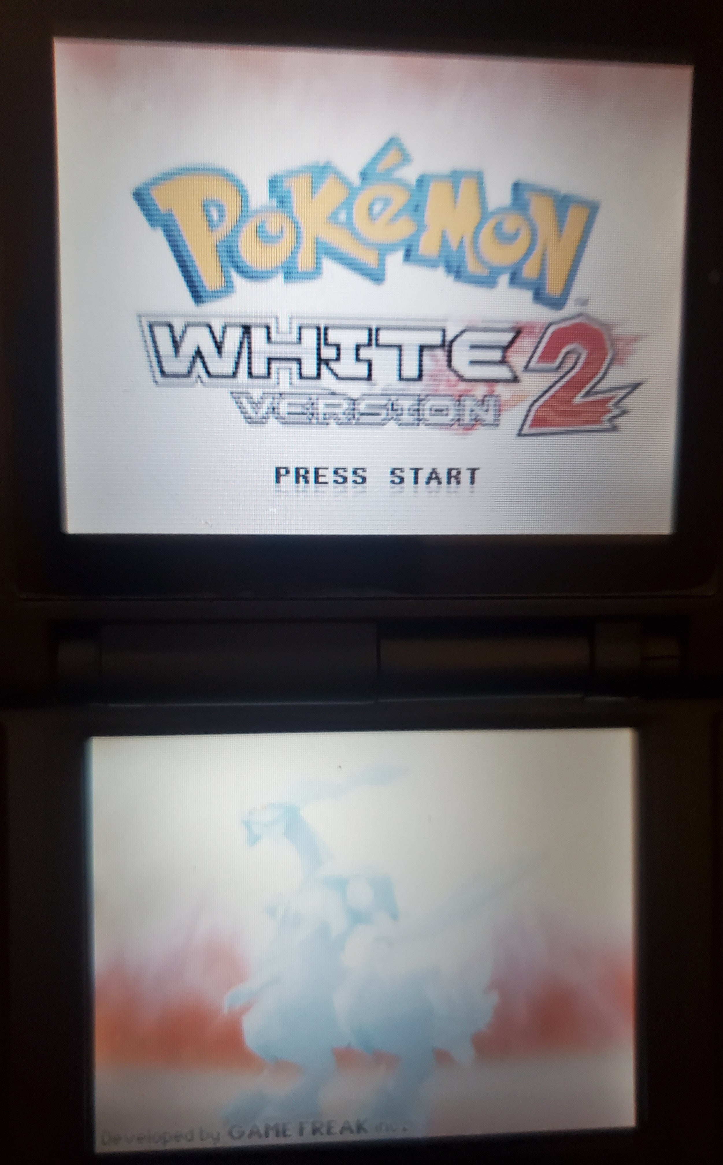 Pokemon Volt White 2 NDS Video Game Cartridge Nintendo DS ROM Hack