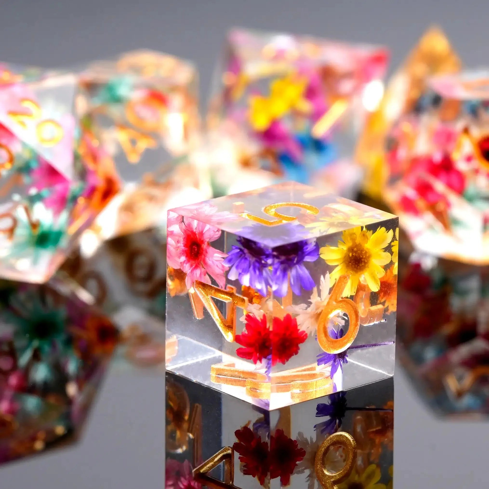 Transparent Resin Polyhedron DND Color Dried Flower Dice set + Gold Font