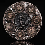 Unique Dice Spinner: 7-in-1 Metal 3D Relief Dragon DND Roulette Dice Spinner
