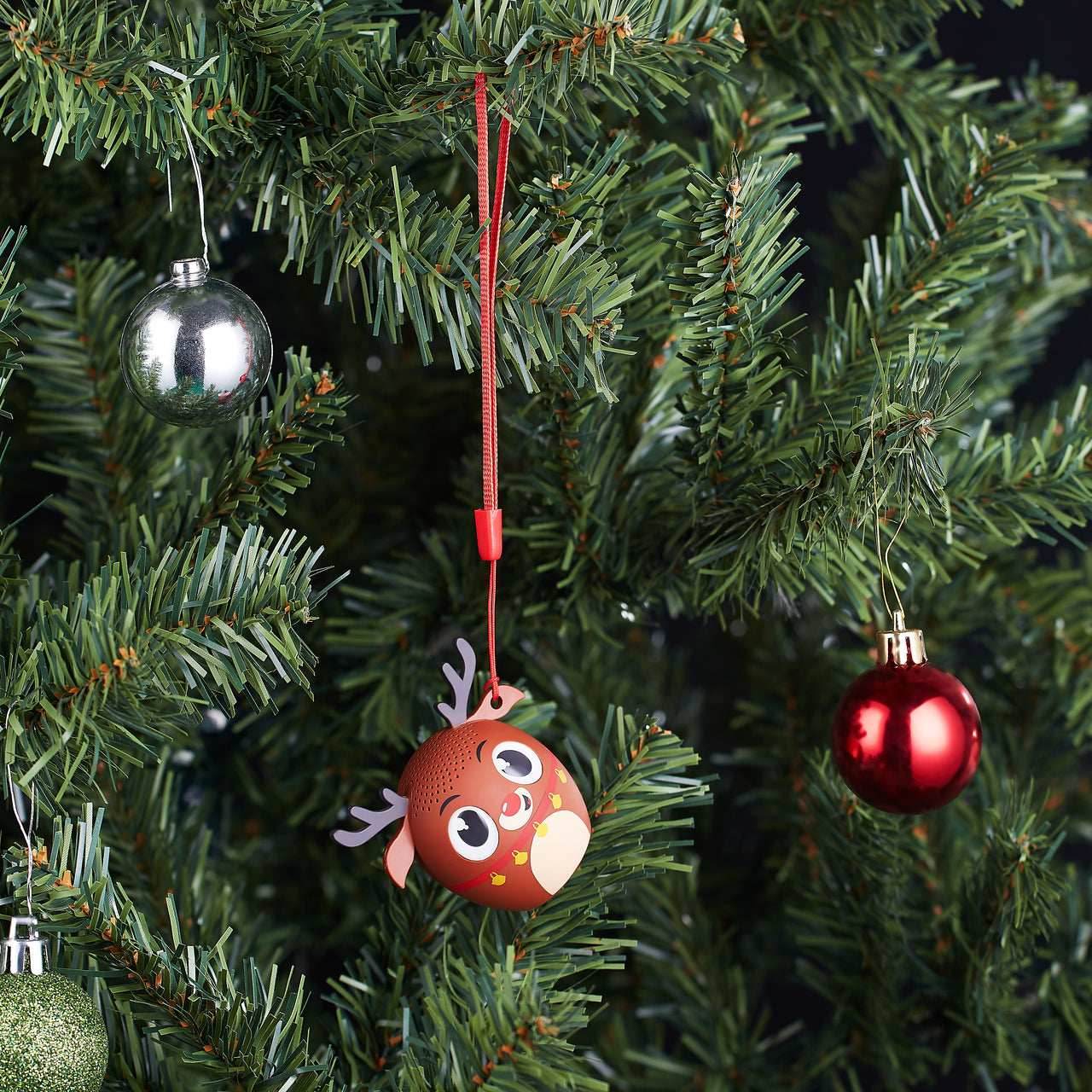 Reindeer - 
