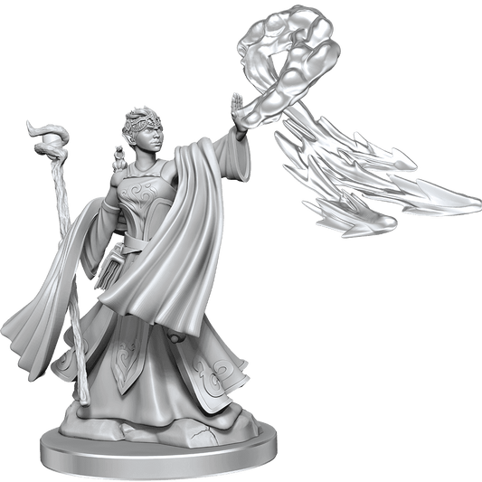 D&D: Frameworks - Elf Wizard Female - 