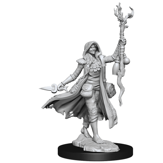 D&D: Frameworks - Human Druid Female - 
