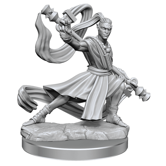 D&D: Frameworks - Elf Monk Male - 
