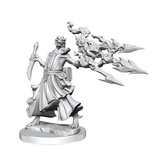 D&D: Frameworks - Dragonborn Sorcerer Female - 