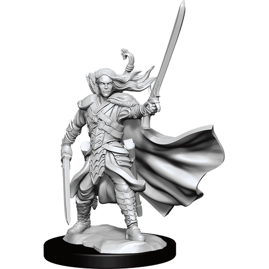 D&D: Frameworks - Elf Ranger Male - 